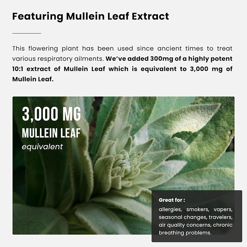 Mullein leaf capsules 3(1)